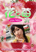 素人シリーズ 花と苺 Jr Vol.382