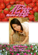 素人シリーズ 花と苺 Vol.502