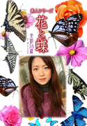 素人シリーズ 花と蝶 Vol.544
