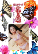 素人シリーズ 花と蝶 Vol.1043
